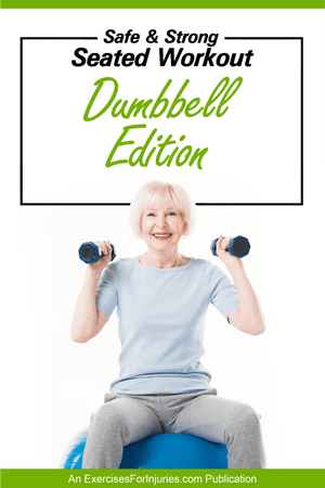 Safe and Strong Seated Workout Dumbbell Edition