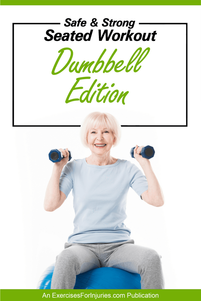 Safe and Strong Seated Workout Dumbbell Edition