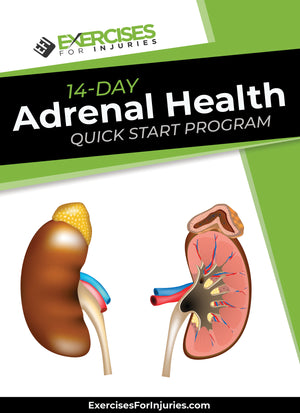 14-Day Adrenal Health Quick Start Program - Digital Download (EFISP)