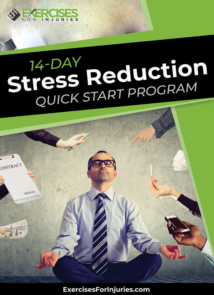 14-Day Stress Reduction Quick Start Program - Digital Download (EFISP)
